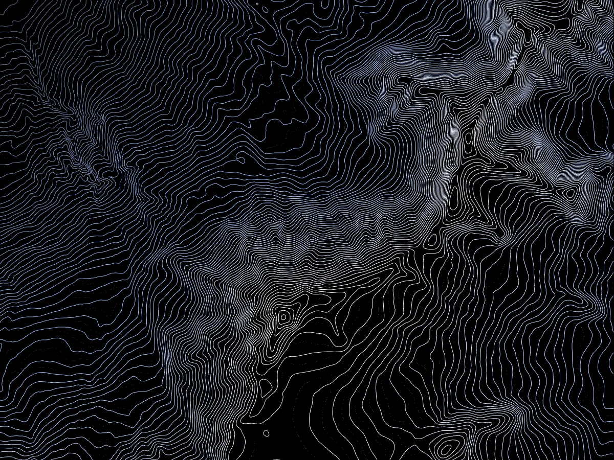 Contour lines of the Chamonix valley traced at a 25 metre interval