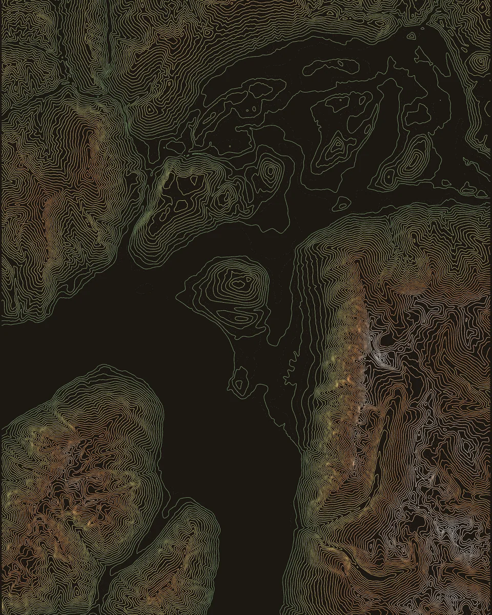 The Remarkables and Lake Wakatipu in hypsometric colour contours on dark ground